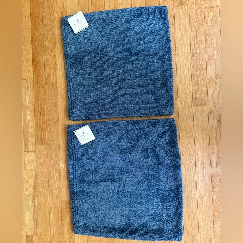 Pottery Barn Chenille 2 Pillow Cases size 18x18 inches
